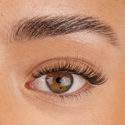 The Classy One Pre-Mapped Lashes