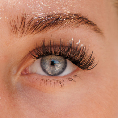 Dainty Pre-Mapped Lashes