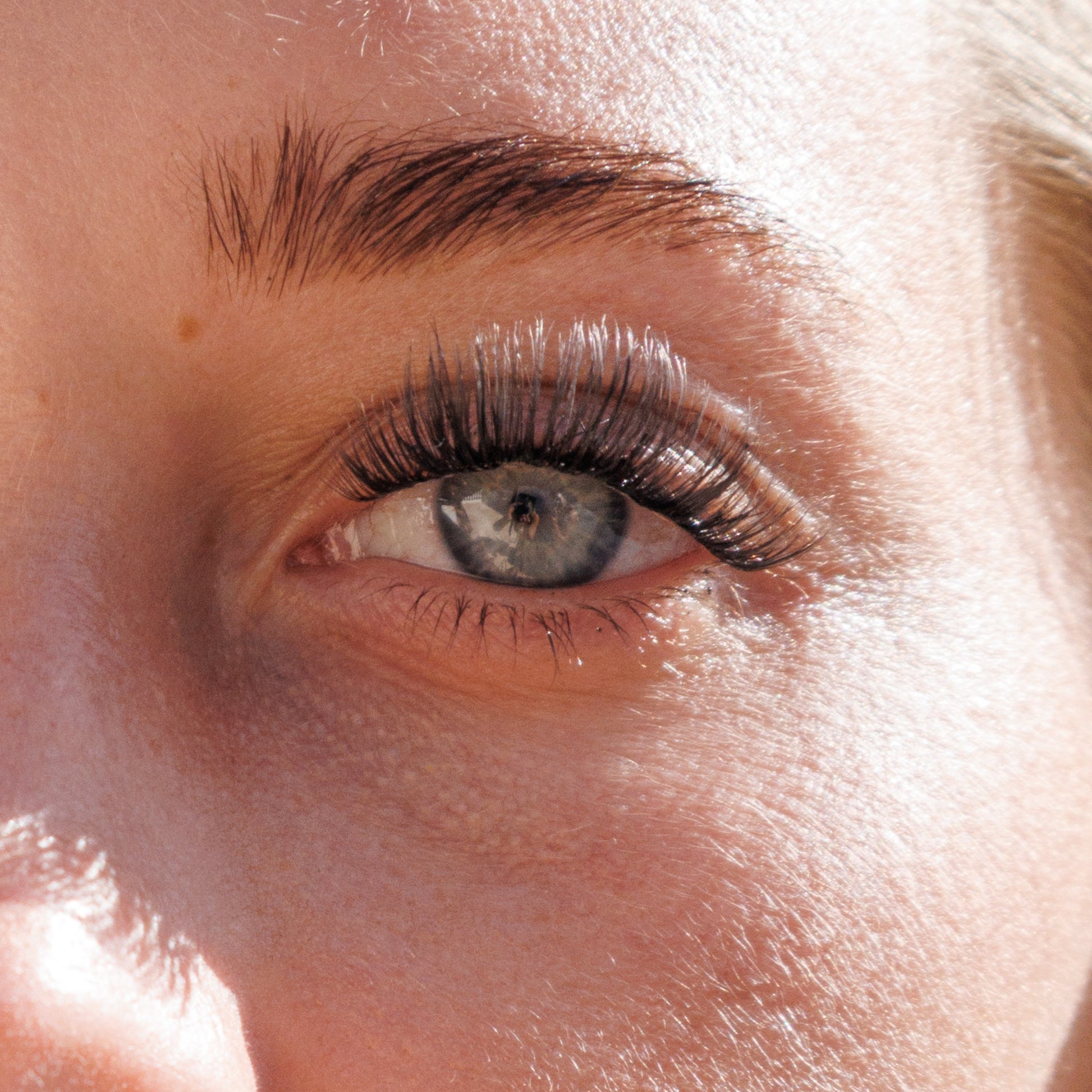 Iconic Pre-Mapped Lashes