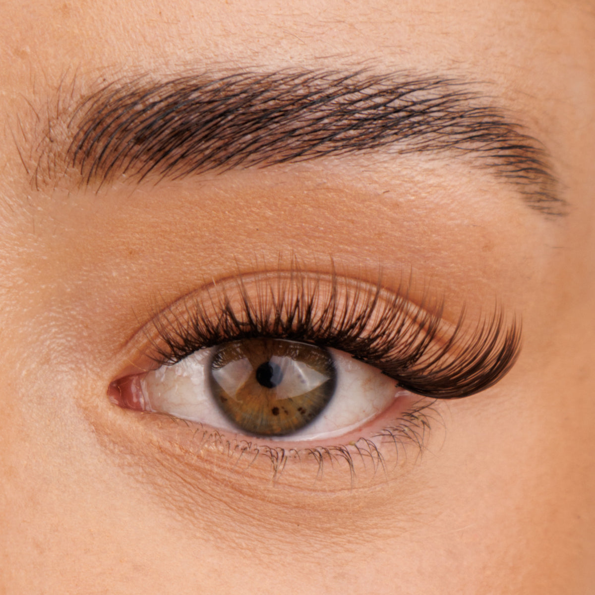 Mocha Custom Length individual Lashes - test