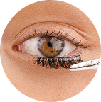 Apply under lash