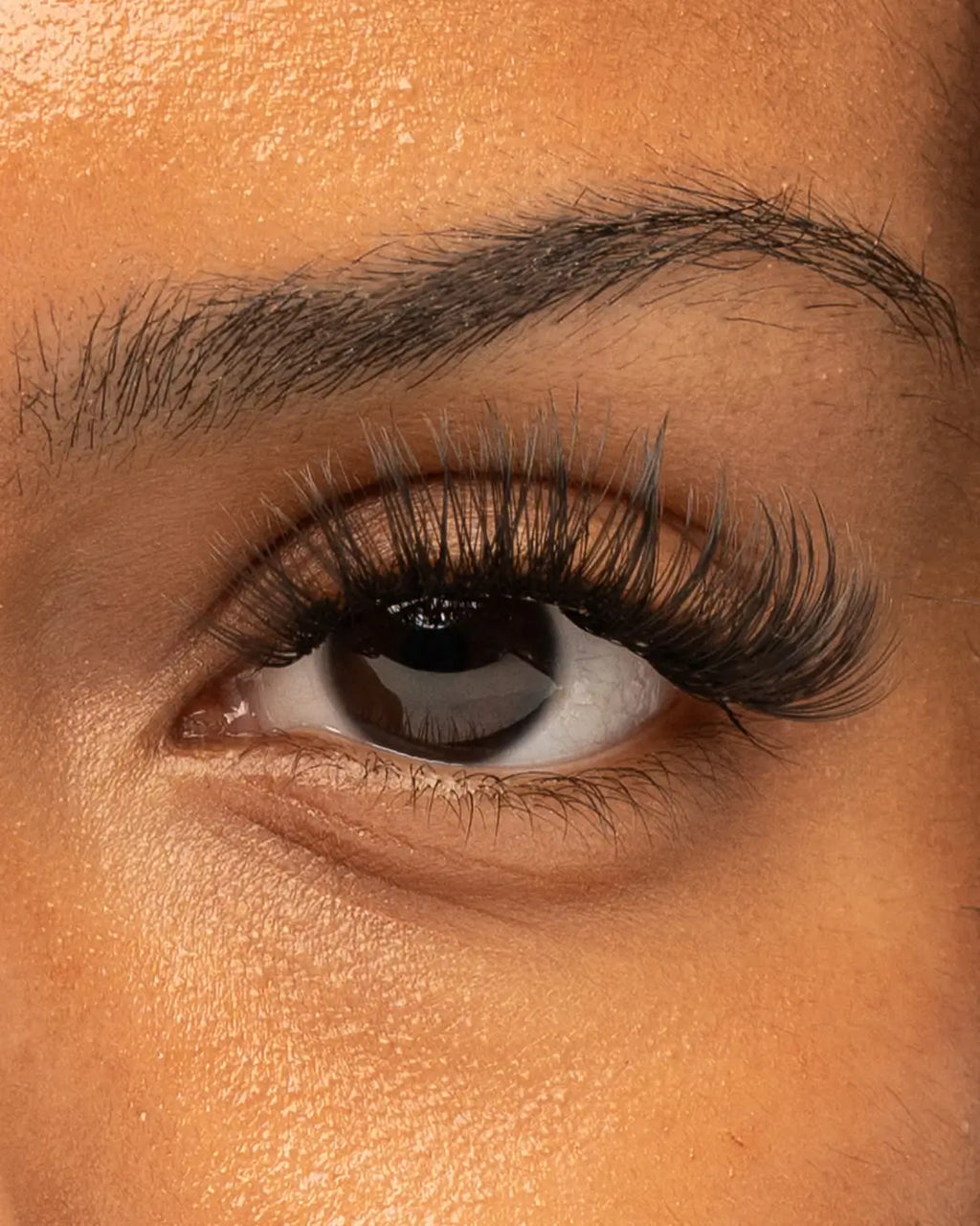 Dolly Pre-Mapped Lashes