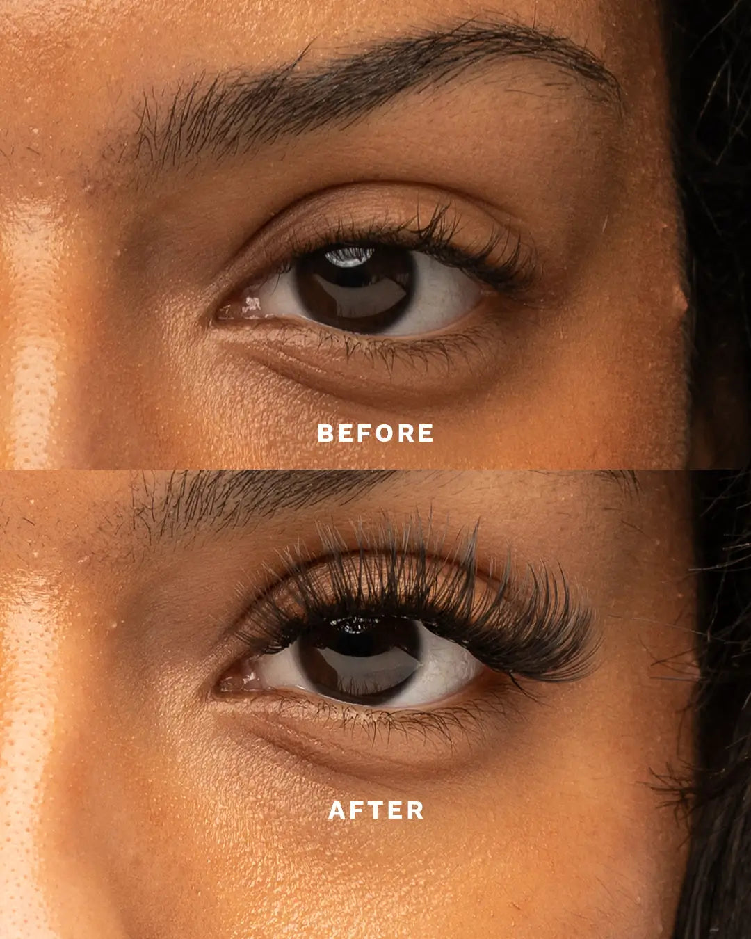 Dolly Pre-Mapped Lashes