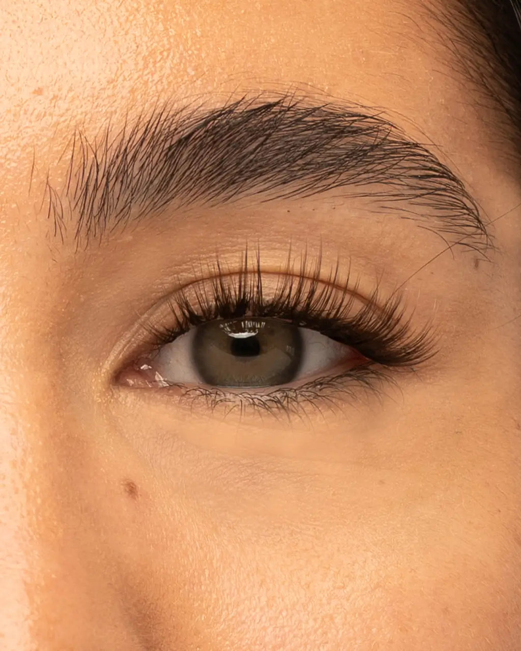 Brown The Classy One Pre-Mapped Lashes