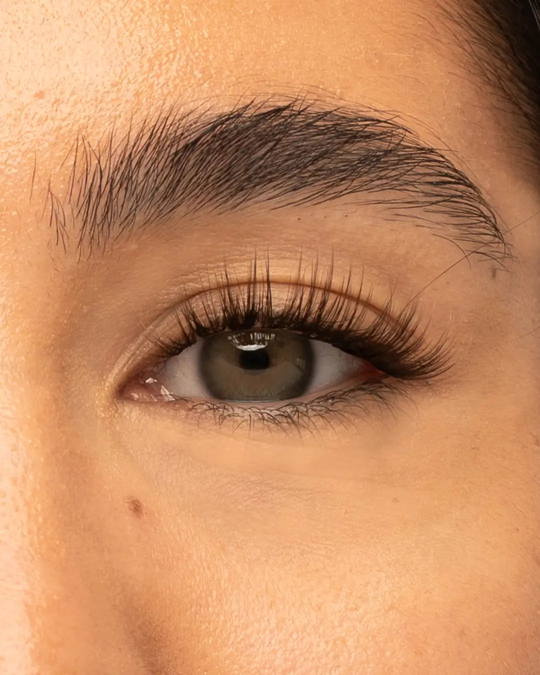 Brown The Classy One Pre-Mapped Lashes