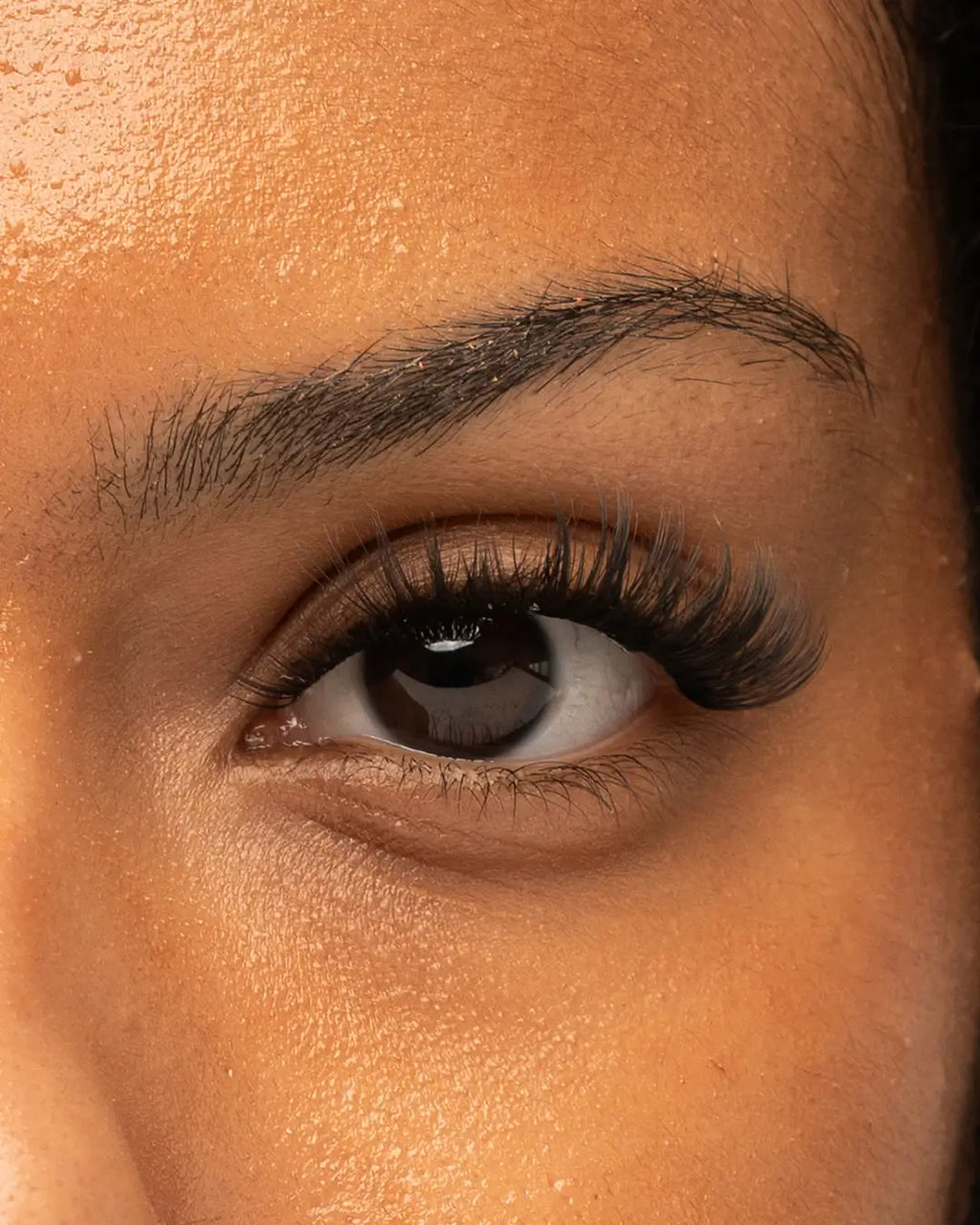 Date Night Pre-Mapped Lashes