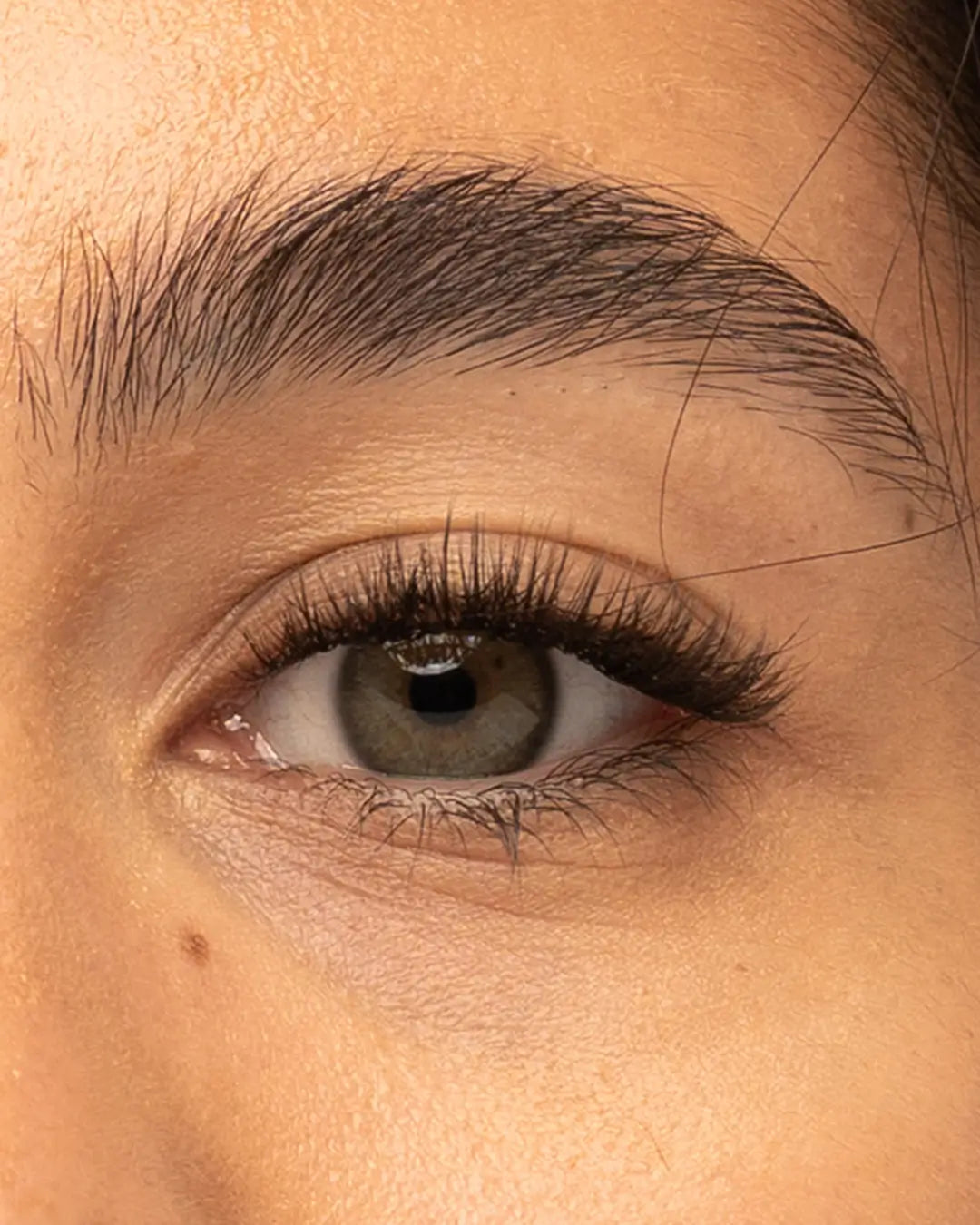 Girl Next Door Pre-Cut Lashes