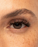 Iconic Pre-Cut Lashes