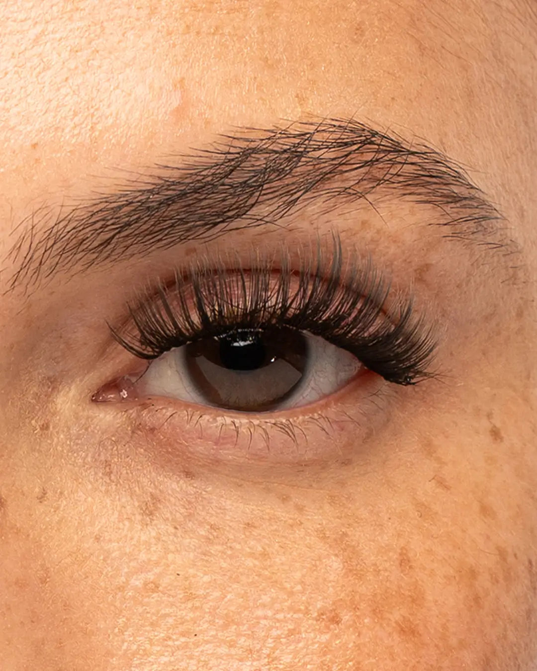 Iconic Pre-Cut Lashes