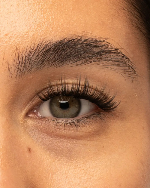 Krazy in Love Brown, Mocha Pre-Cut Lashes