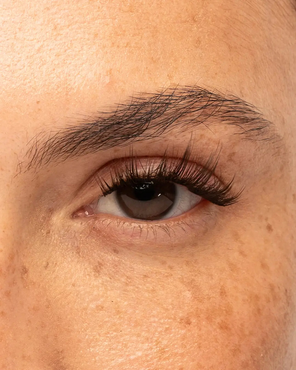 Krazy In Love Pre-Mapped Lashes