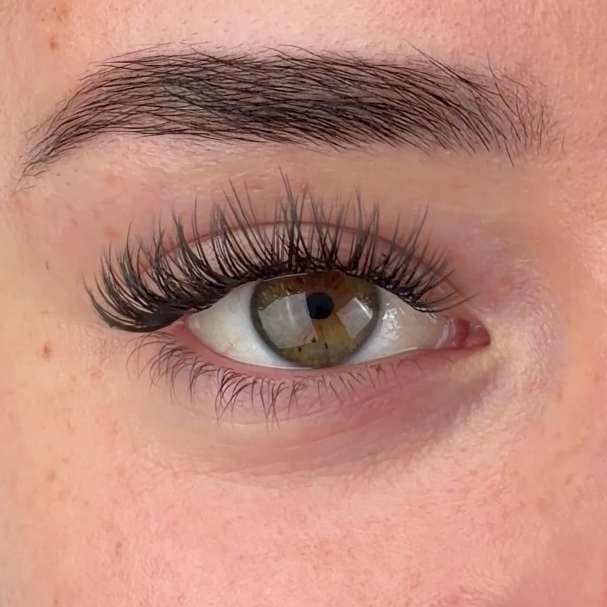 Dainty Pre-Mapped Lashes