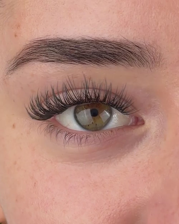 Dainty Pre-Mapped Lashes