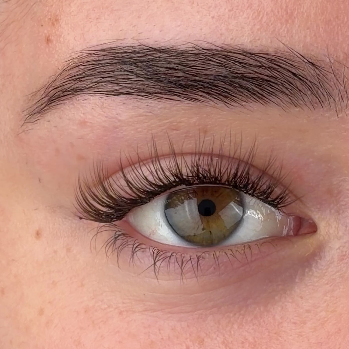 Brown Girl Next Door Pre-Mapped Lashes