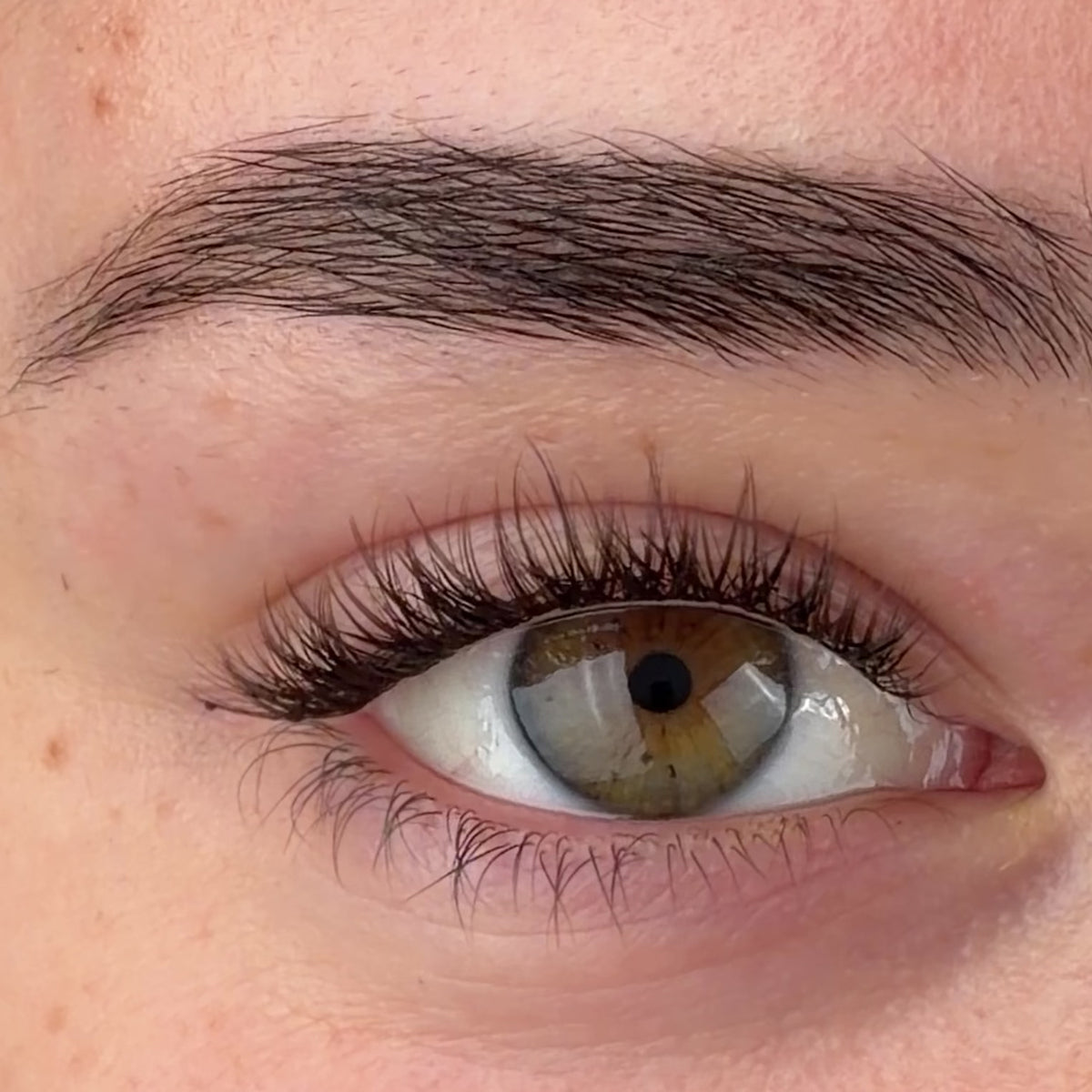 Brown The Minimalist Pre-Mapped Lashes