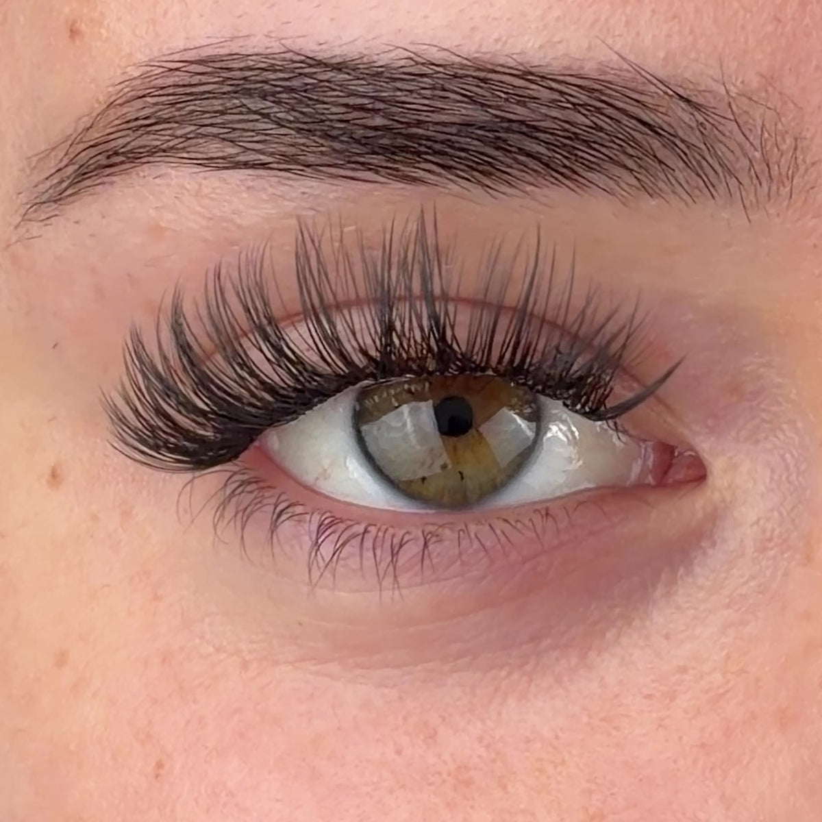 Dolly Pre-Mapped Lashes