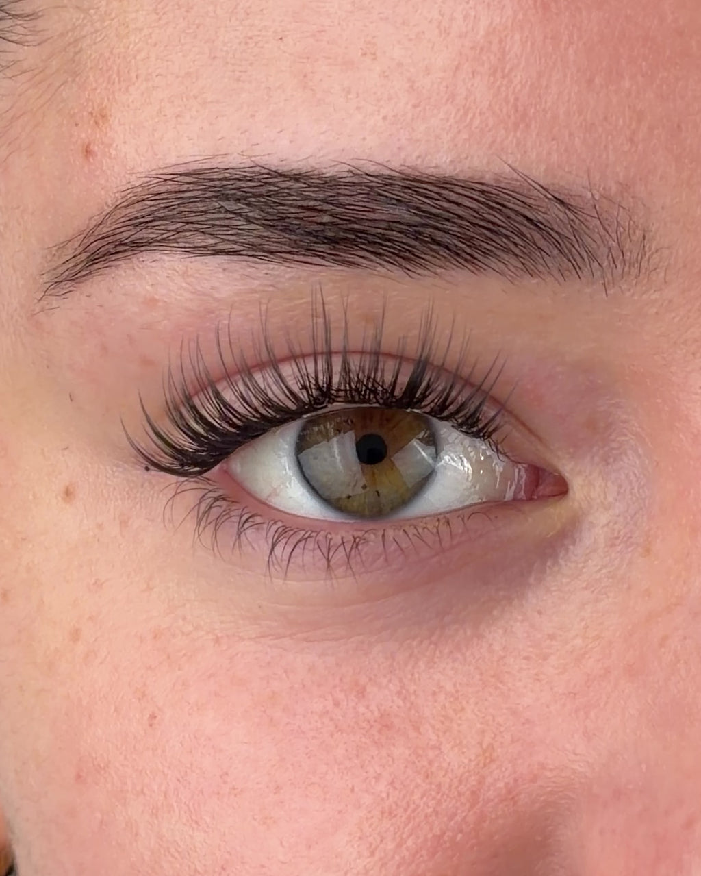 iLash The Classy One Pre-Mapped Lashes