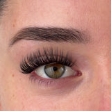 Flawless Lash Pre-Mapped Lashes