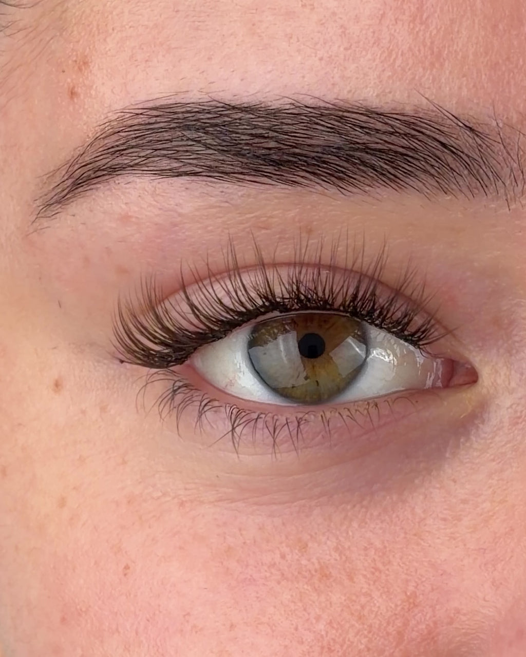 Brown Girl Next Door Pre-Mapped Lashes