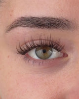 Brown Krazy In Love Pre-Mapped Lashes