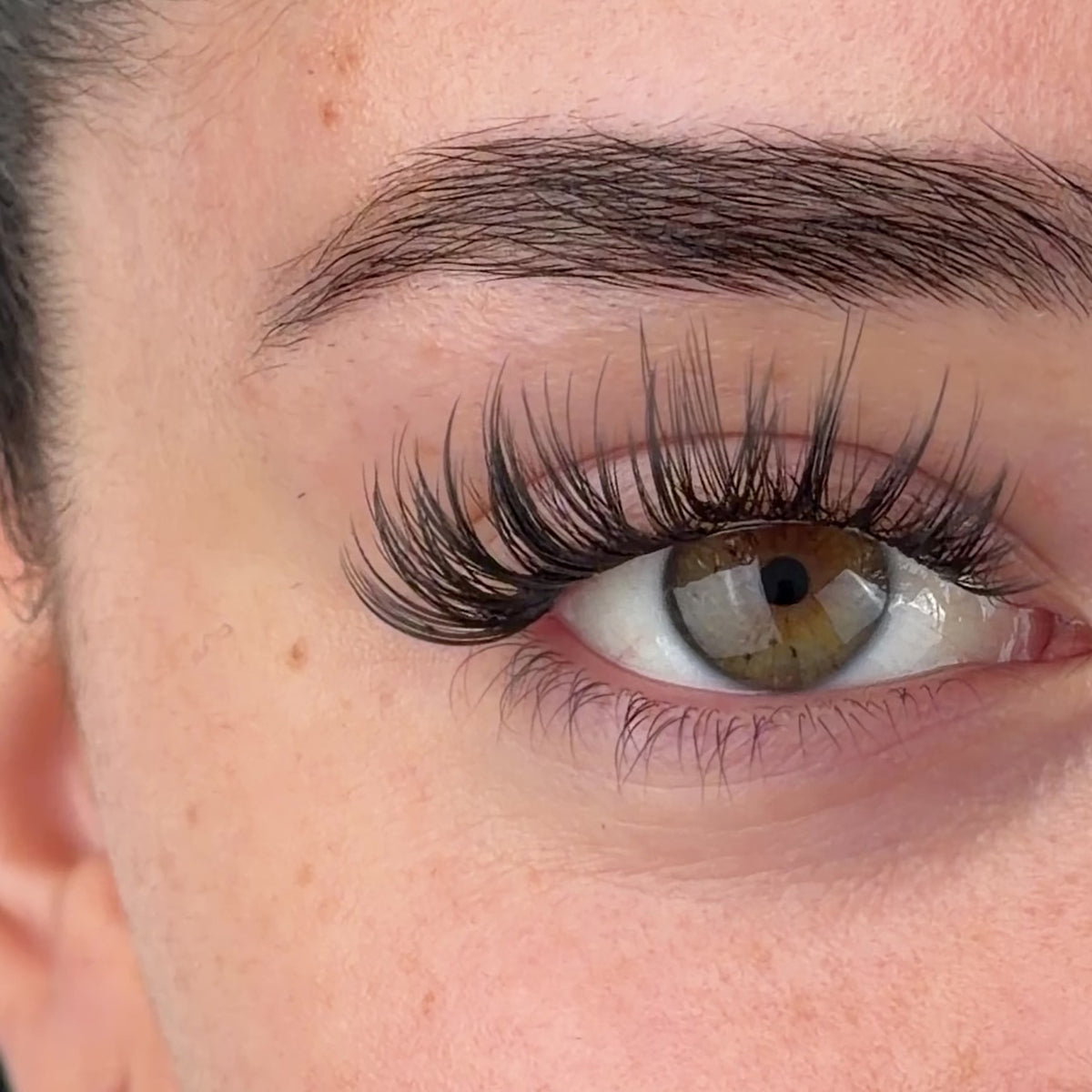 Desire Pre-Mapped Lashes