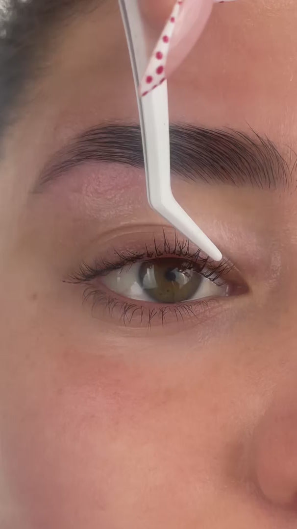 Day Dreamer Pre-Mapped Lashes