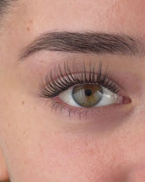 The Showstopper Pre-Mapped Lashes 5 pack