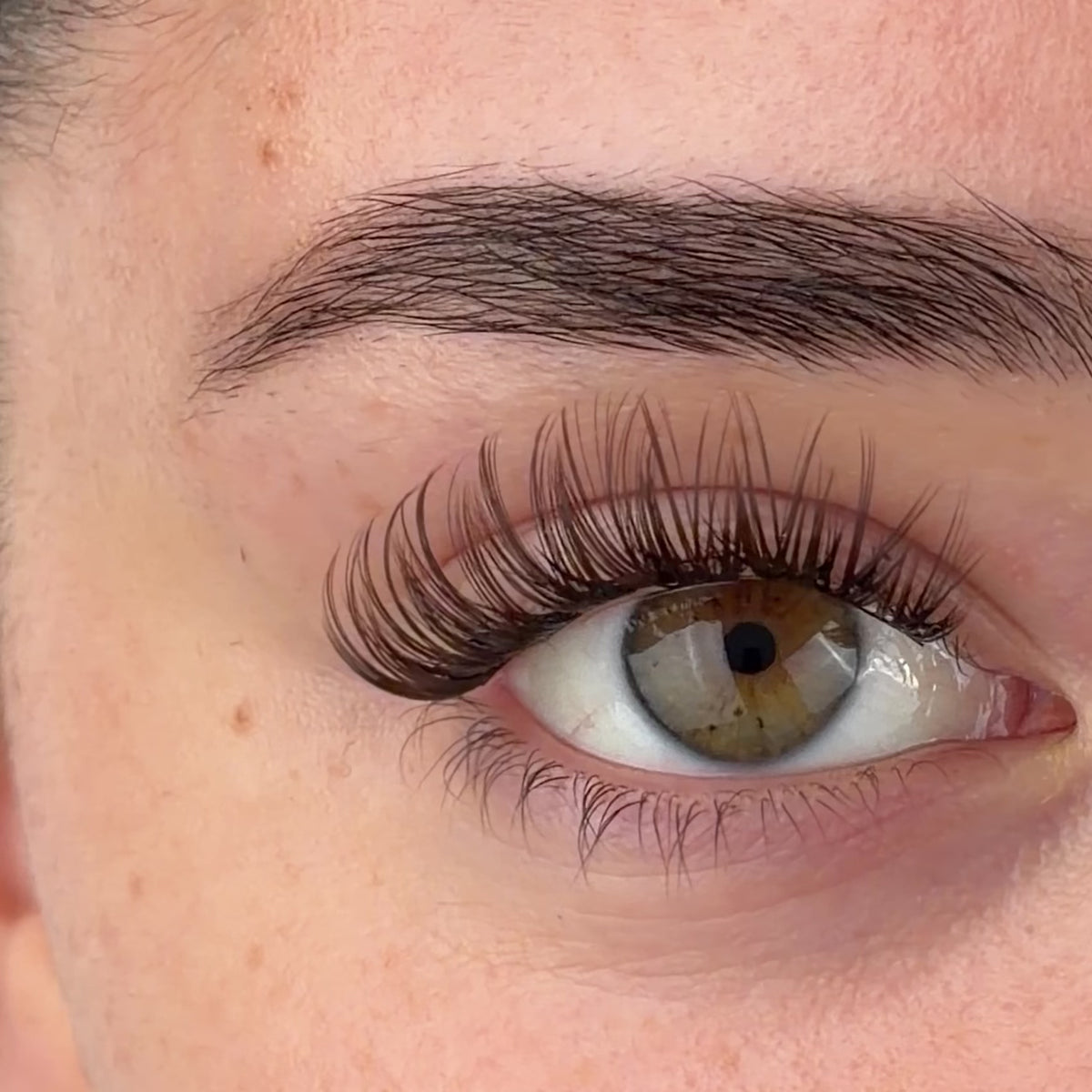 Brown Flirty Pre-Mapped Lashes