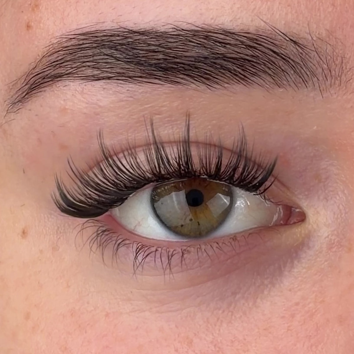 Krazy In Love Pre-Mapped Lashes