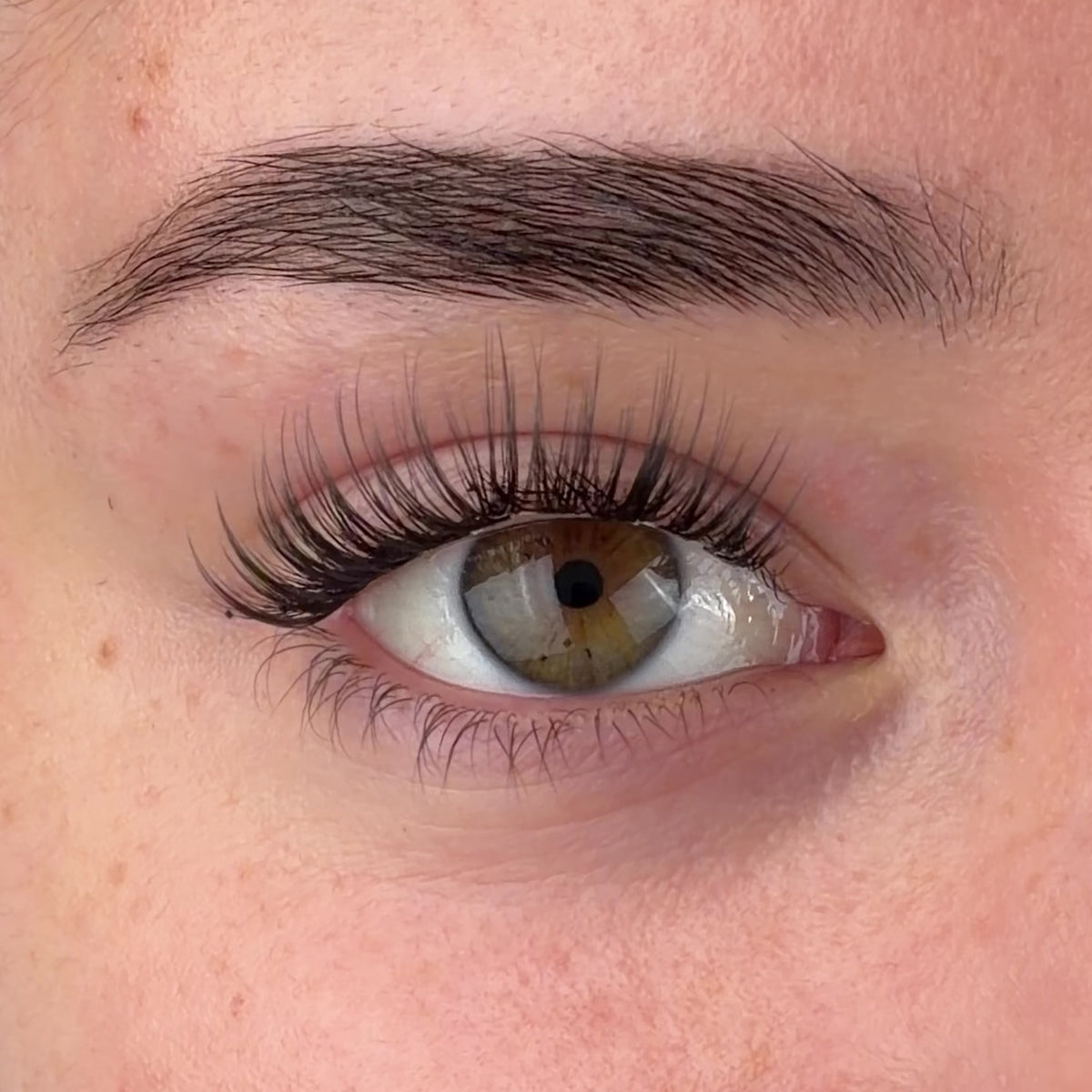 The Classy One Pre-Mapped Lashes