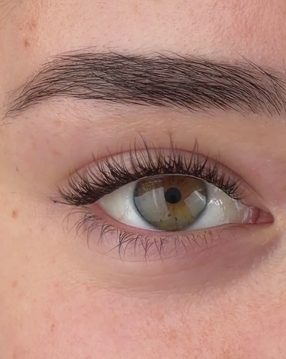 Brown The Minimalist Pre-Mapped Lashes