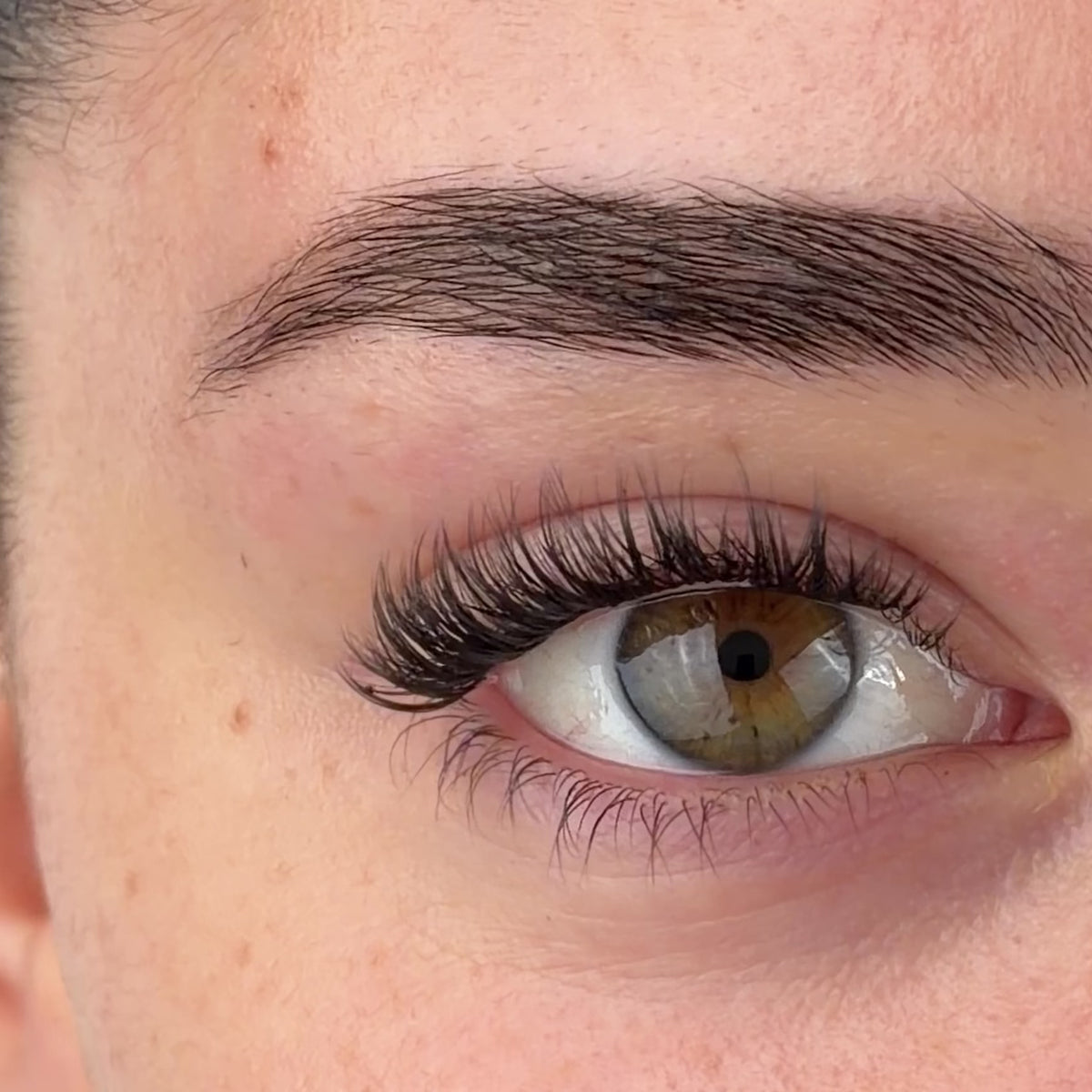 The Minimalist Pre-Mapped Lashes