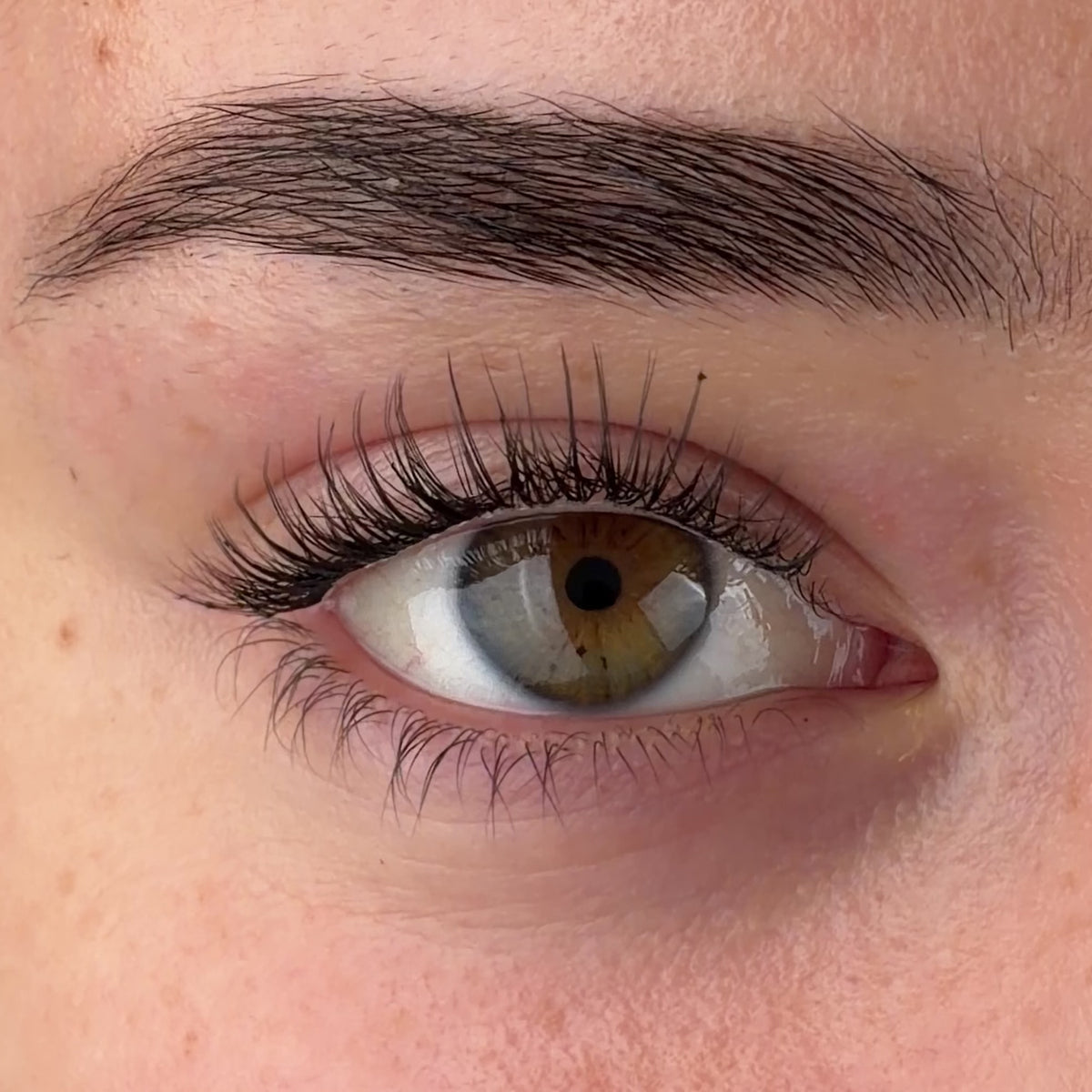 Day Dreamer Pre-Mapped Lashes