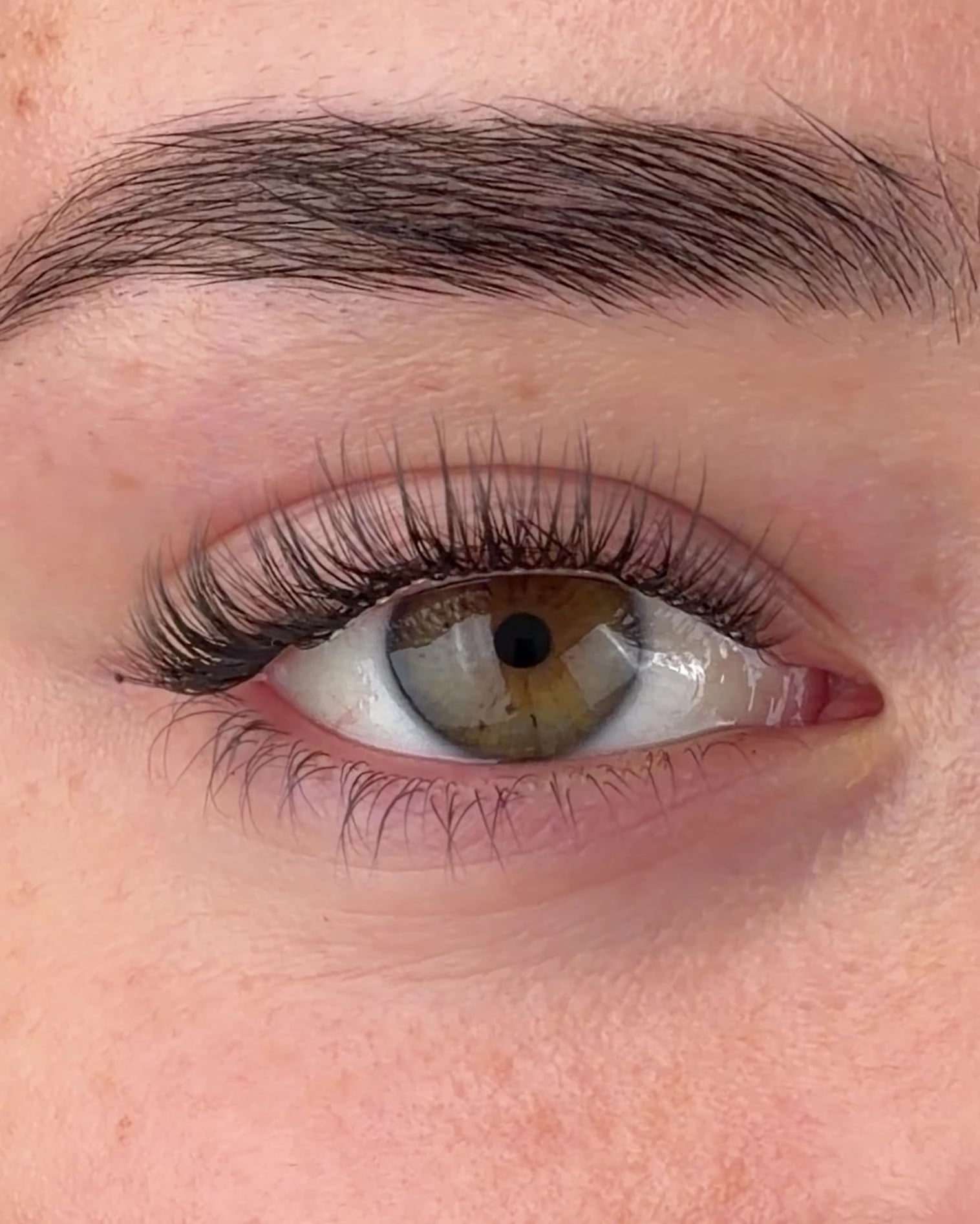 Girl Next Door Pre-Cut Lashes