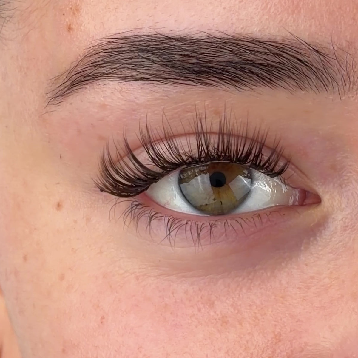 Brown The Classy One Pre-Mapped Lashes