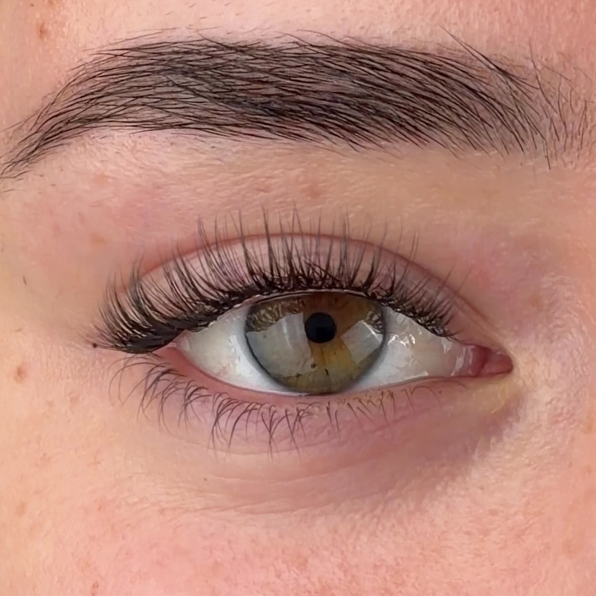 Girl Next Door Pre-Cut Lashes