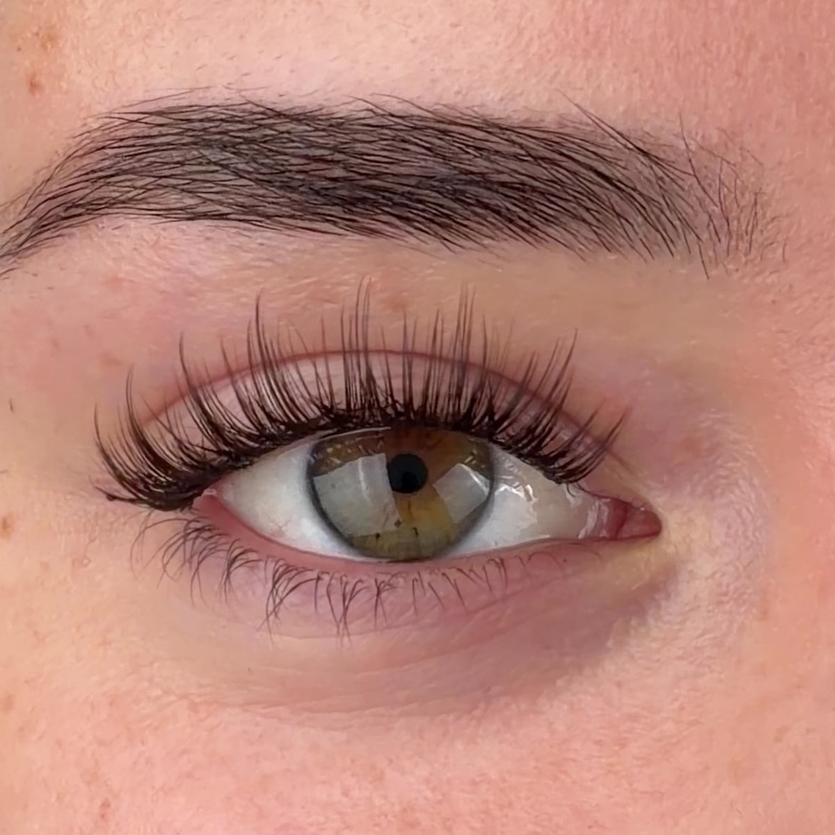 Brown Krazy In Love Pre-Mapped Lashes