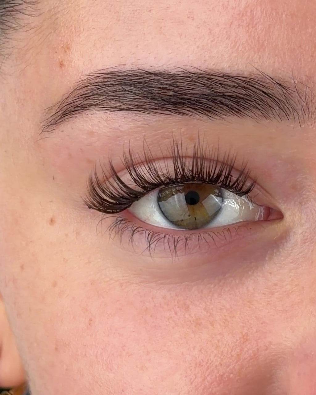 Brown The Classy One Pre-Mapped Lashes