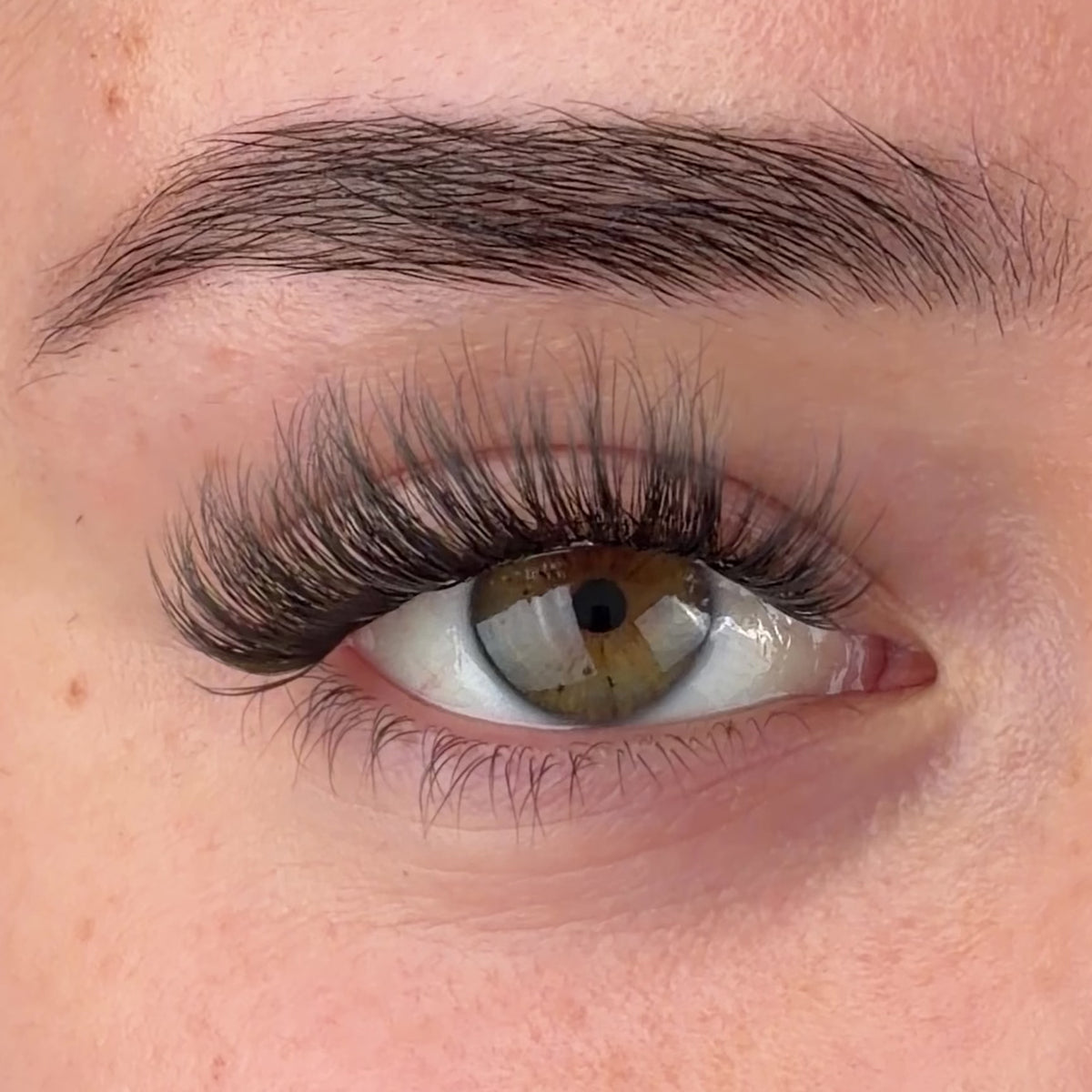 Xoxo Pre-Mapped Lashes