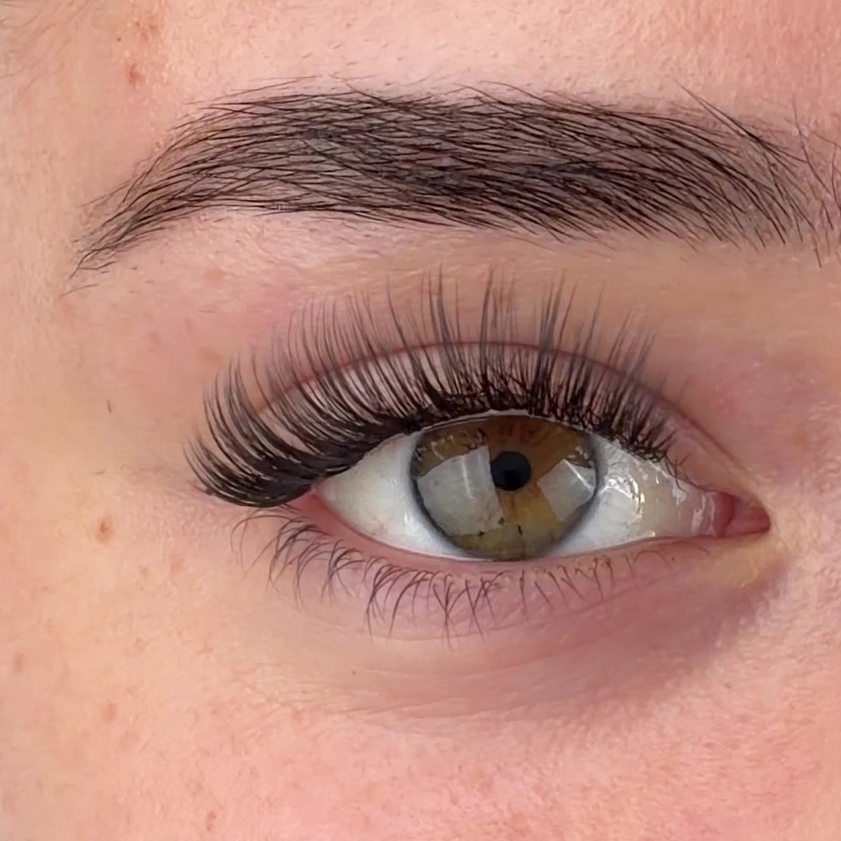 Iconic Pre-Mapped Lashes