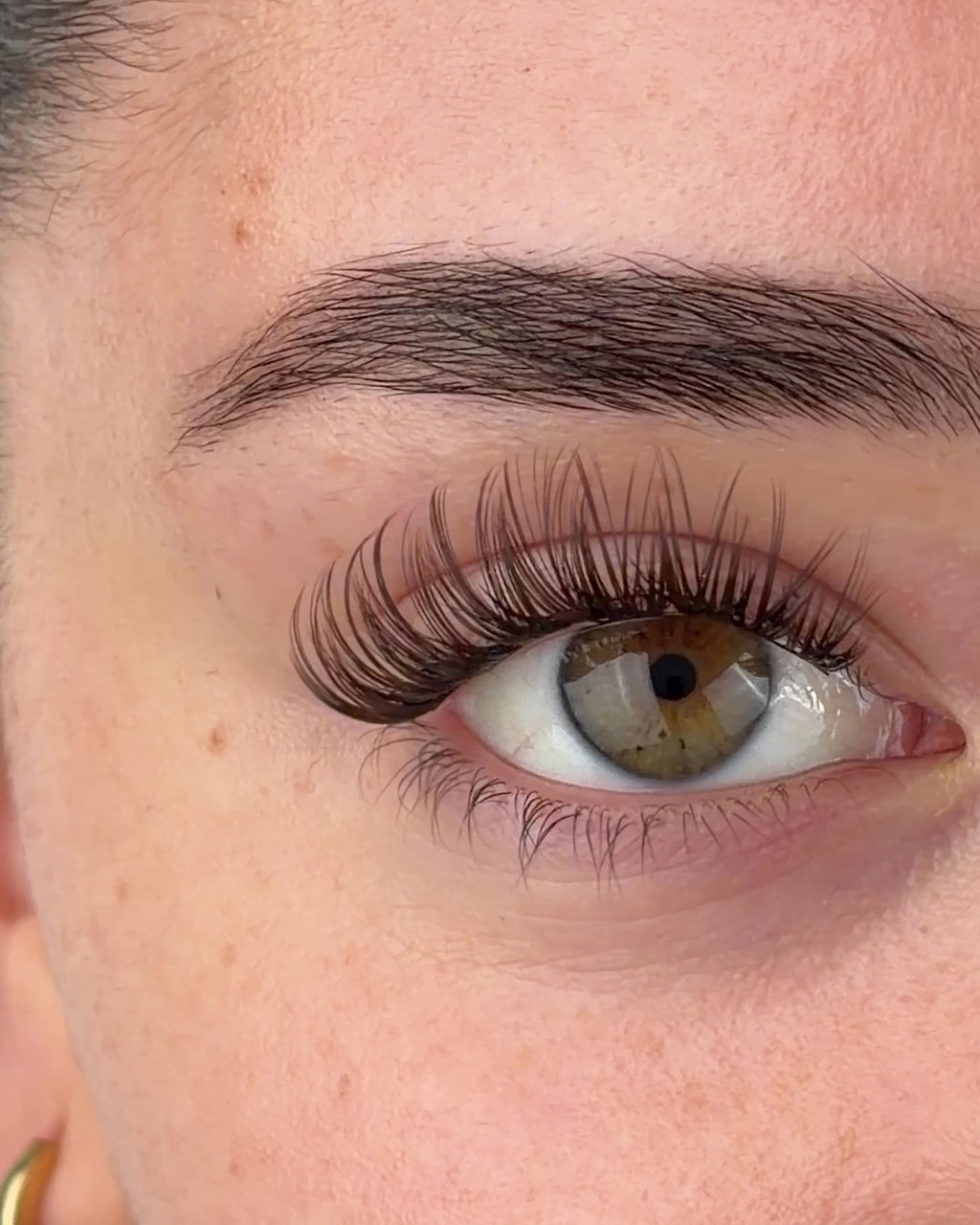 Brown Flirty Pre-Mapped Lashes