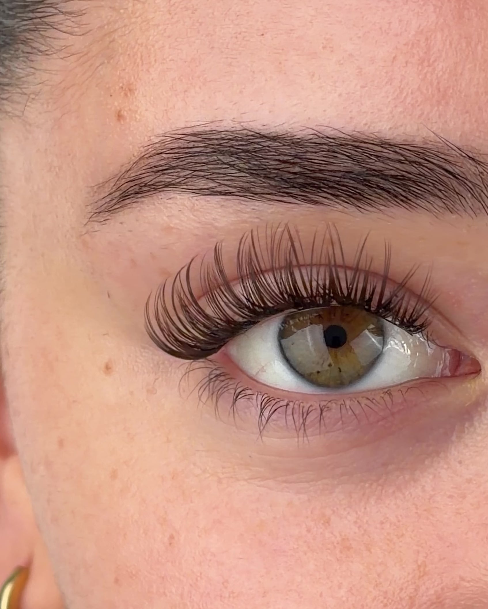 Brown Flirty Pre-Mapped Lashes